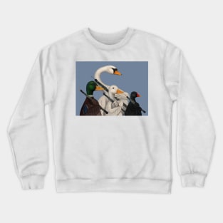 Musical Duck, Goose, Moorhen & Swan Crewneck Sweatshirt